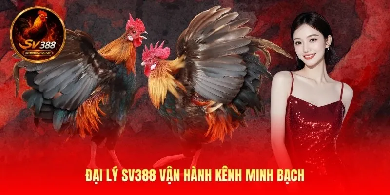 Đại Lý Sv388 – Mở Rộng Kênh Phân Phối Trực Tuyến Toàn Diện 1 dai-ly-sv388-van-hanh-kenh-minh-bach