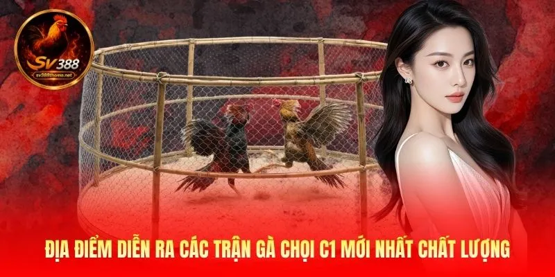Gà Chọi C1 Mới Nhất Tại SV388 Với Những Trận Đấu Kinh Điển 3 Địa điểm diễn ra các trận gà chọi C1 mới nhất chất lượng