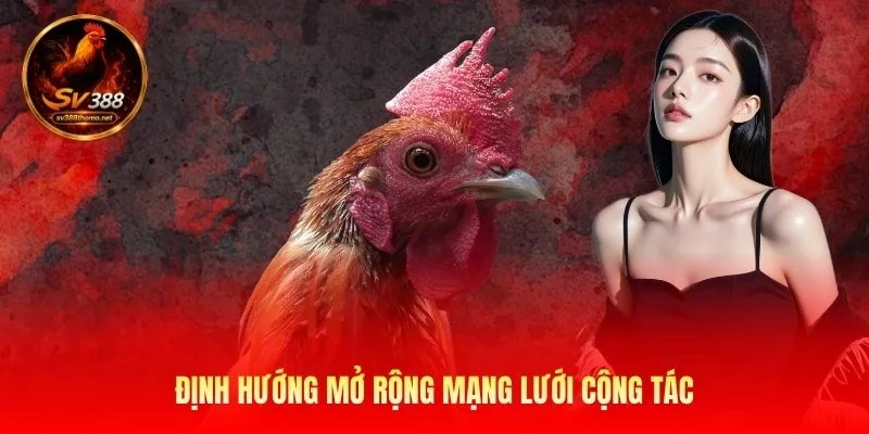Đại Lý Sv388 – Mở Rộng Kênh Phân Phối Trực Tuyến Toàn Diện 3 dinh-huong-mo-rong-mang-luoi-cong-tac