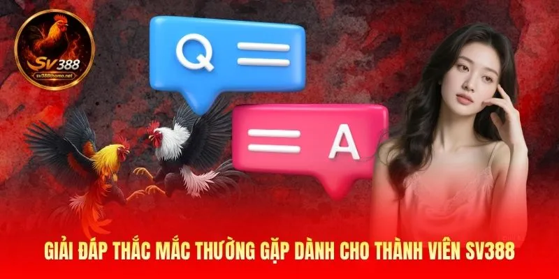 Sv388 – Nhà Cái Đá Gà Trực Tiếp Thomo - Link SV388 Mới Nhất 2026 27 Giải đáp thắc mắc thường gặp dành cho thành viên SV388