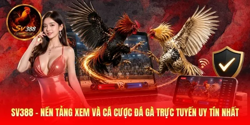 Sv388 – Nhà Cái Đá Gà Trực Tiếp Thomo - Link SV388 Mới Nhất 2026 20 SV388 - Nền tảng xem và cá cược đá gà trực tuyến uy tín nhất