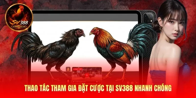 Sv388 – Nhà Cái Đá Gà Trực Tiếp Thomo - Link SV388 Mới Nhất 2026 25 Thao tác tham gia đặt cược tại SV388 nhanh chóng