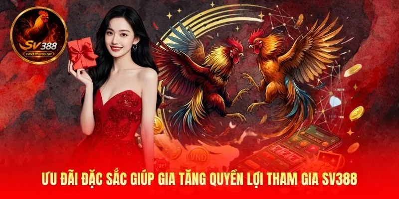 Sv388 – Nhà Cái Đá Gà Trực Tiếp Thomo - Link SV388 Mới Nhất 2026 26 Ưu đãi đặc sắc giúp gia tăng quyền lợi tham gia SV388